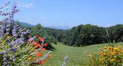 Hollymont atmosphere